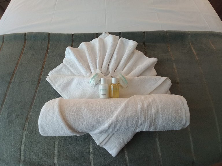 Blume 41 Perto do Centro, Novo e Charmoso