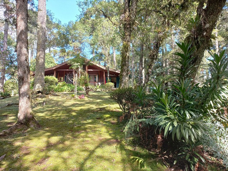 Mountain Chalet 210 - Comfort and Nature