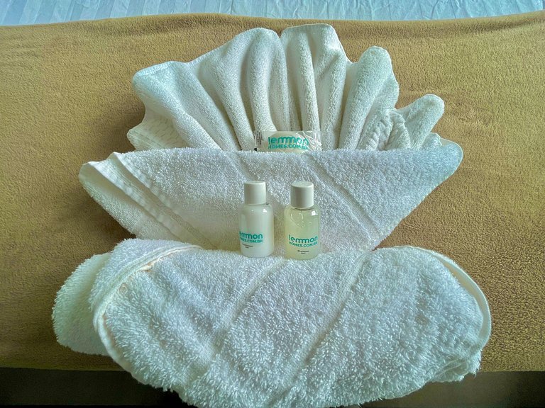 Livin' Resort Home - 408/2